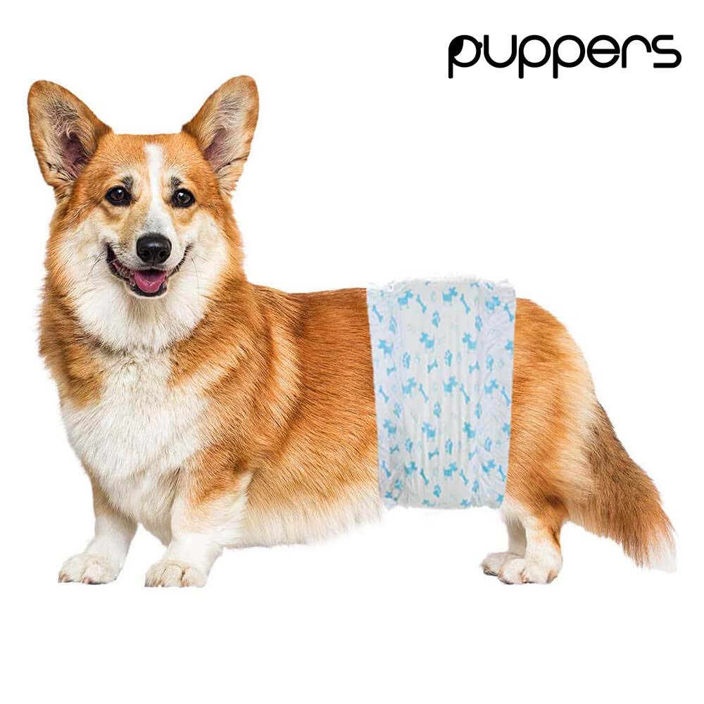 pieluchy pampers 4 caufland