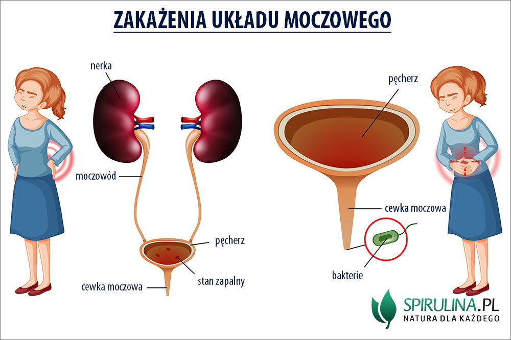 ekologiczne pieluchy jednorazwe