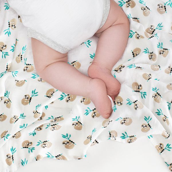 pampers logo transparent