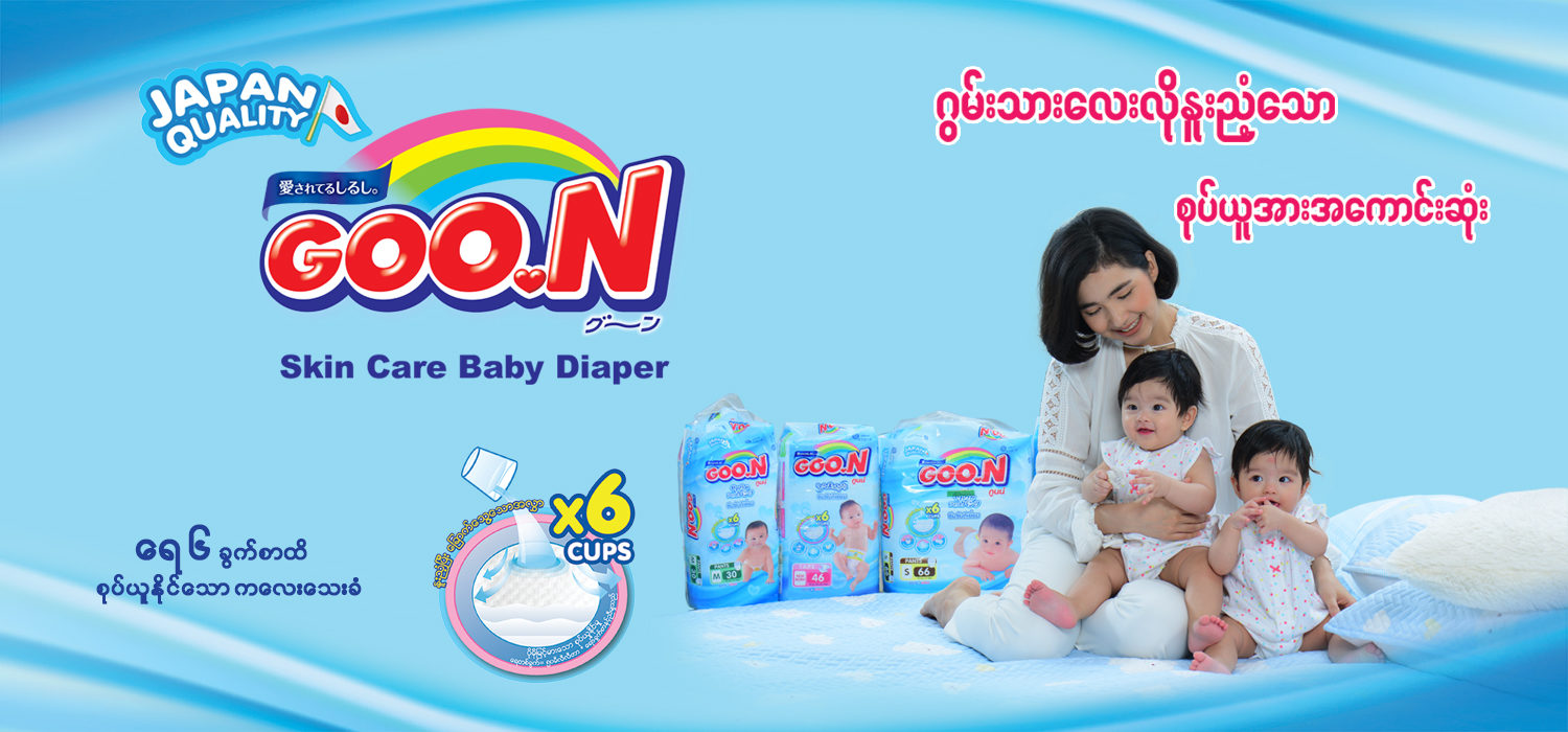 mega box pampers premium care