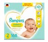 pampers premium1