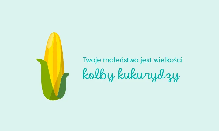 chusteczki nawilżane tylko woda