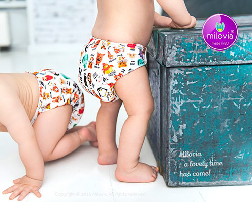 selgros pampers pants 5