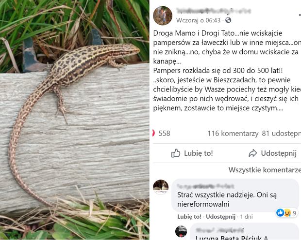 lansinoh chusteczki nawilżane z lanoliną skład