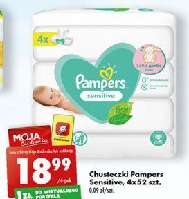 pieluchomajtki pampers 5 premium care ceneo