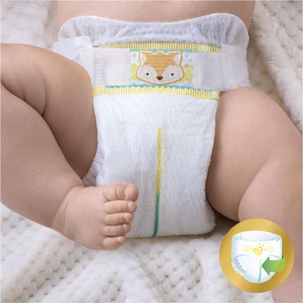 pampers dystrybutor