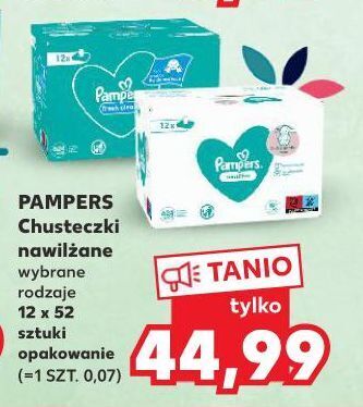 pampers 3 midi 74 szt