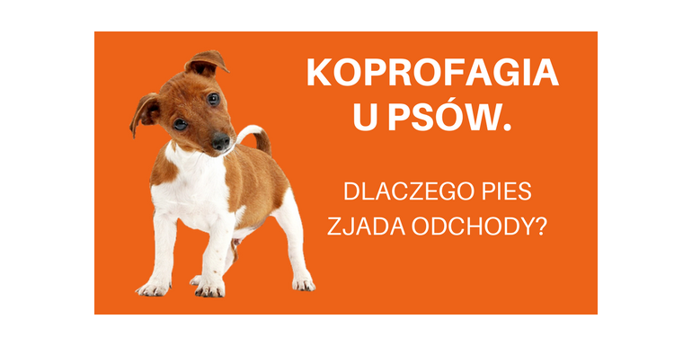 lista aptek i sklepow z refundacja na pieluchomajtki seni 3