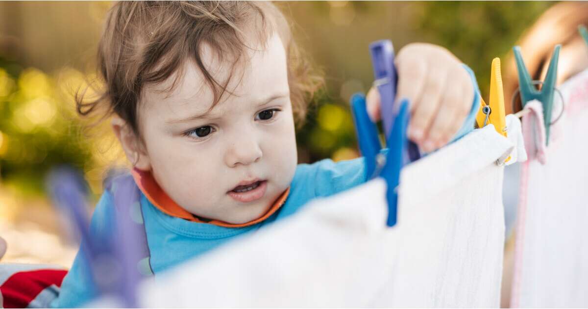 pampers dla szczeniaków