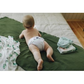 pampers pants wysyłka promocja